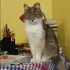 Отзыв от Яна Ситникова